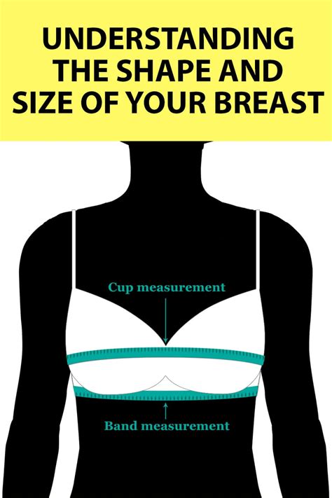 pic of boobs|Breast Shape 101: Exploring the Seven Most Common Types